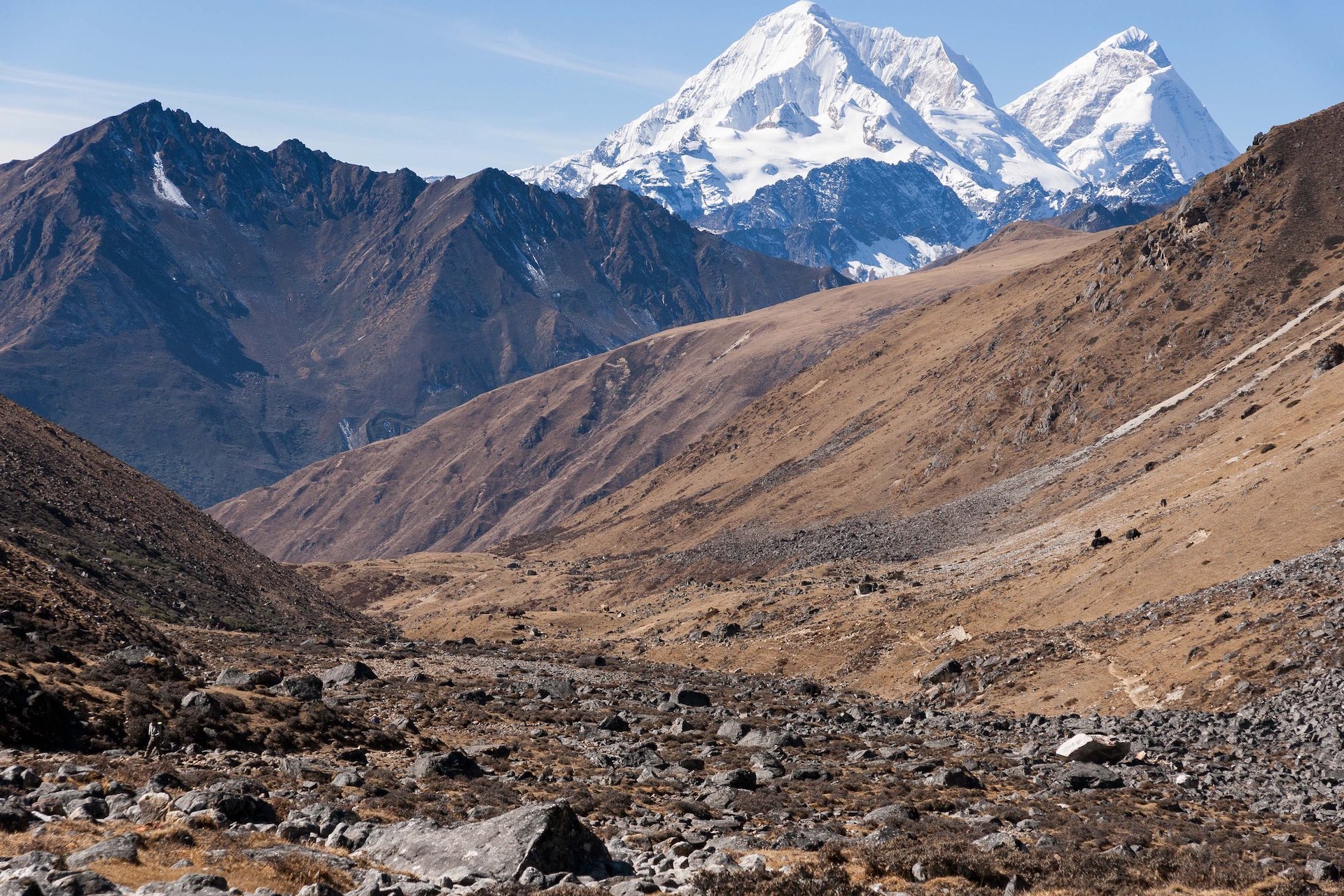 Laya Gasa Trekking -19 Days